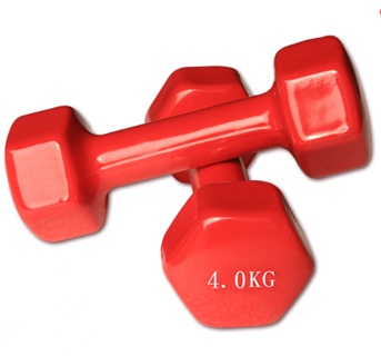 GYM equipment part cast iron painted dumbbell